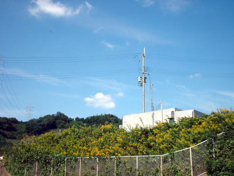 NTT西日本｜堅上