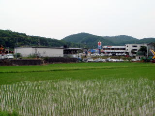 NTT西日本｜上月